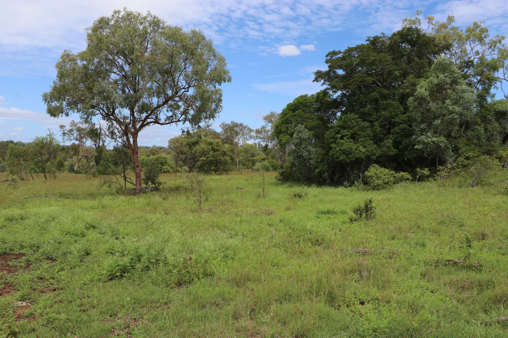 Additional image 6 of 0 Pipeline Road, Nine Mile QLD 4702