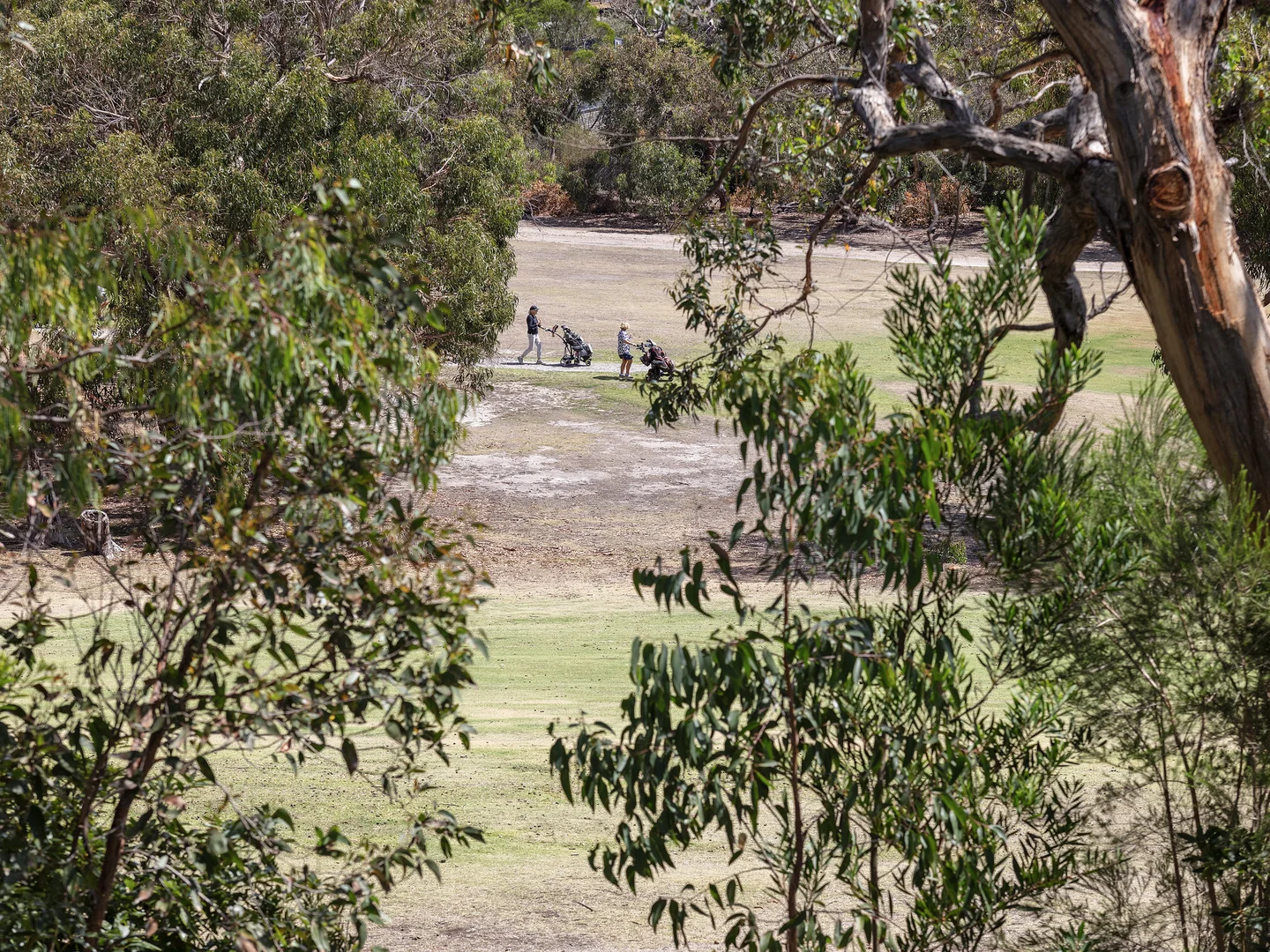 Additional image 30 of 83 Noble Street, Anglesea VIC 3230