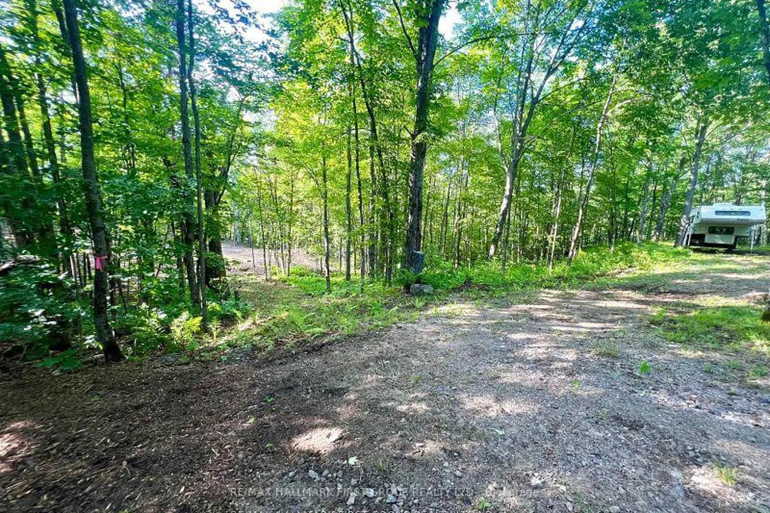 Additional image 7 of 678 Centreview Road