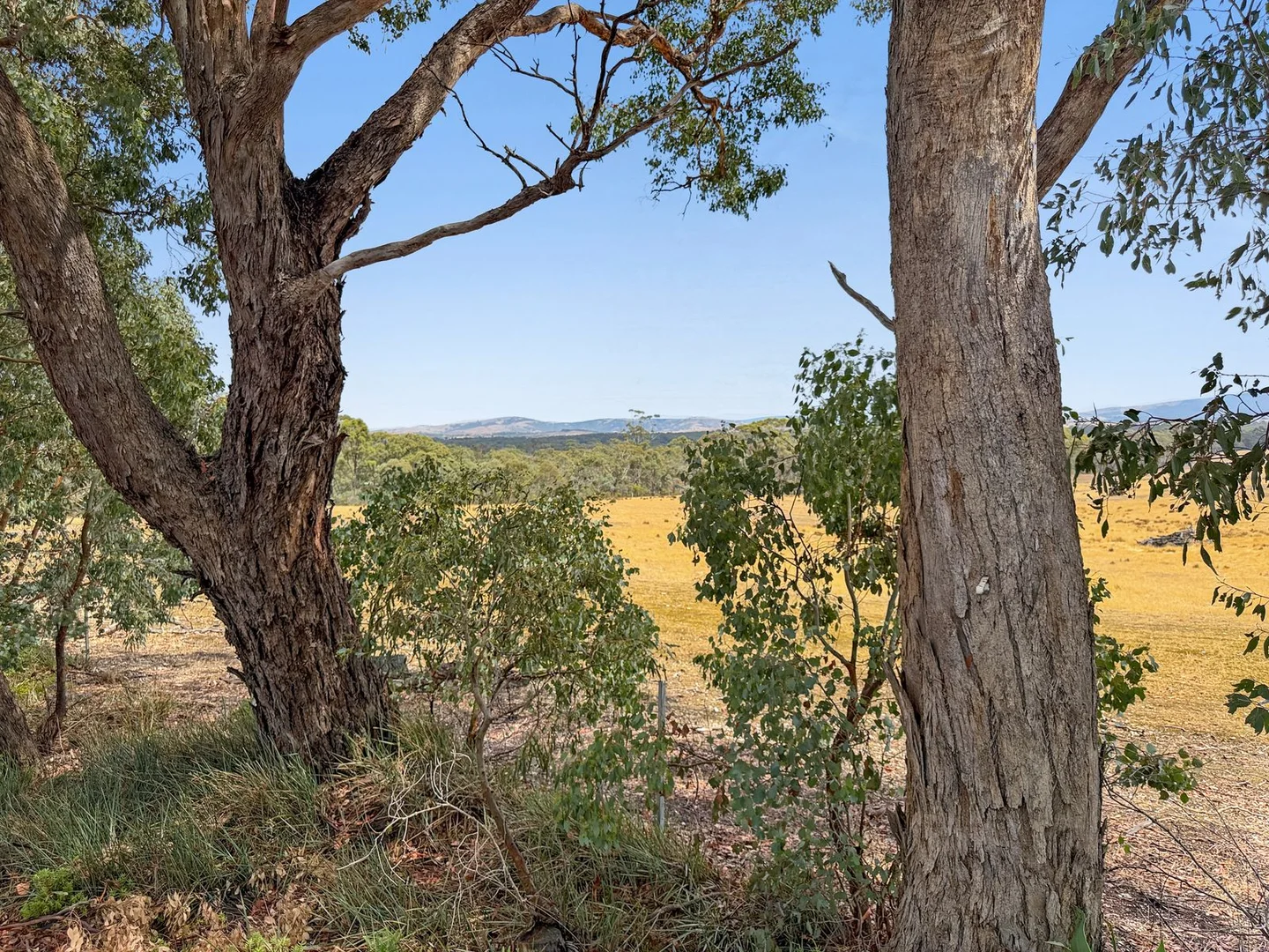 Additional image 32 of 554 Caralulup Road, Lamplough VIC 3352