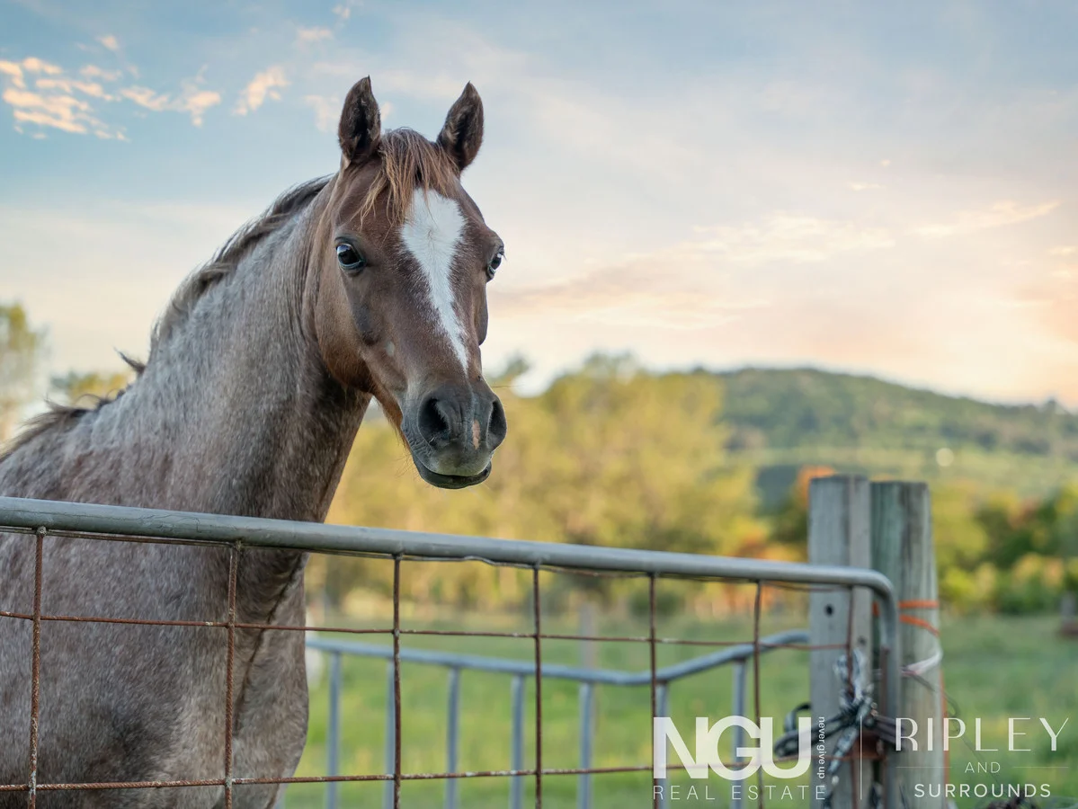 Additional image 2 of 81 Linum Road, Wivenhoe Pocket QLD 4306