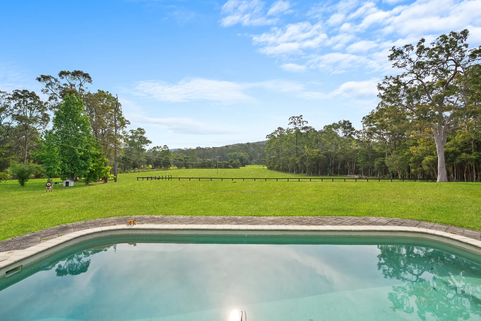 Additional image 13 of 488 Dicksons Road, Jilliby NSW 2259