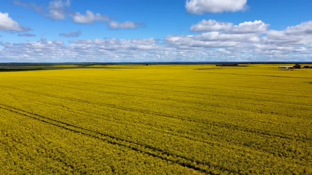 Additional image 10 of Midlands Road, Marchagee WA 6515