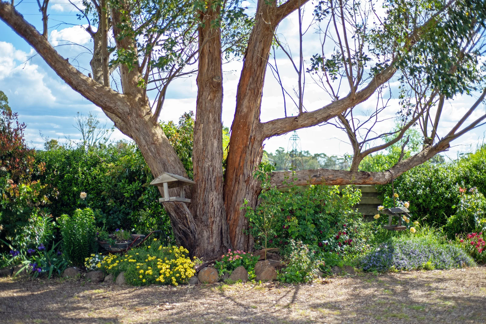 Additional image 24 of 31 Airley Road, Stratford VIC 3862