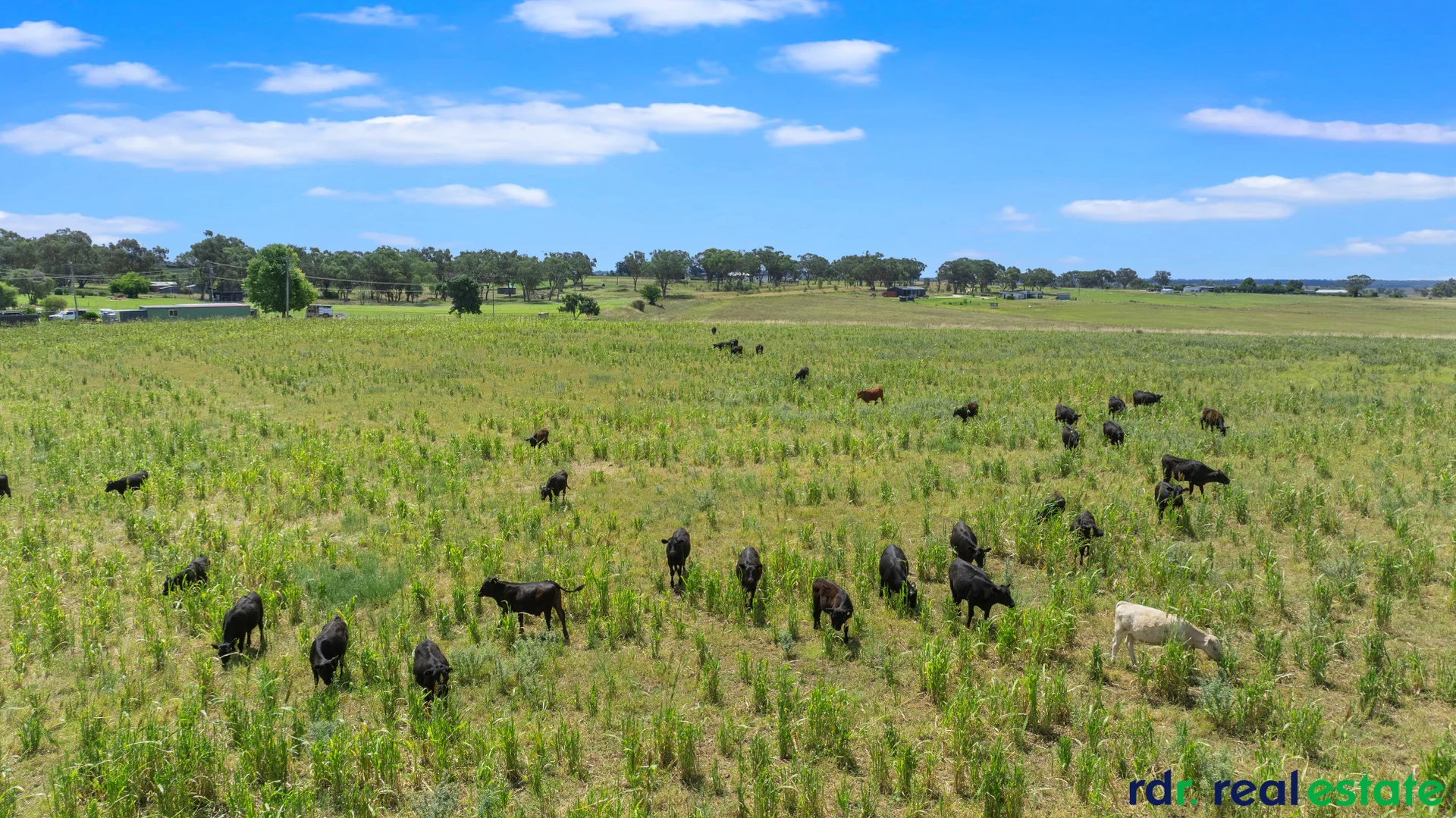 Additional image 19 of 394 Yetman Road, Inverell NSW 2360