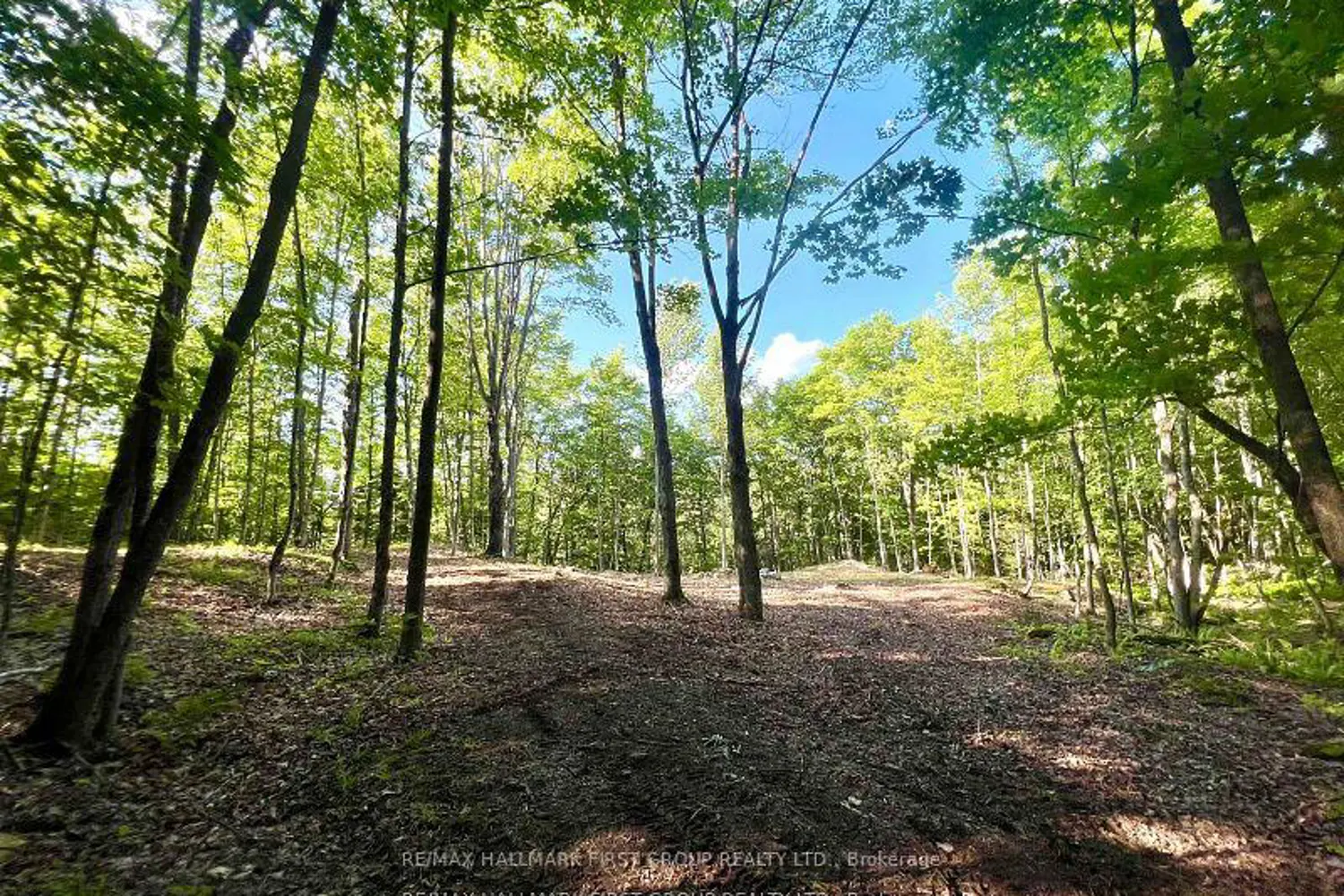 Additional image 10 of 678 Centreview Road