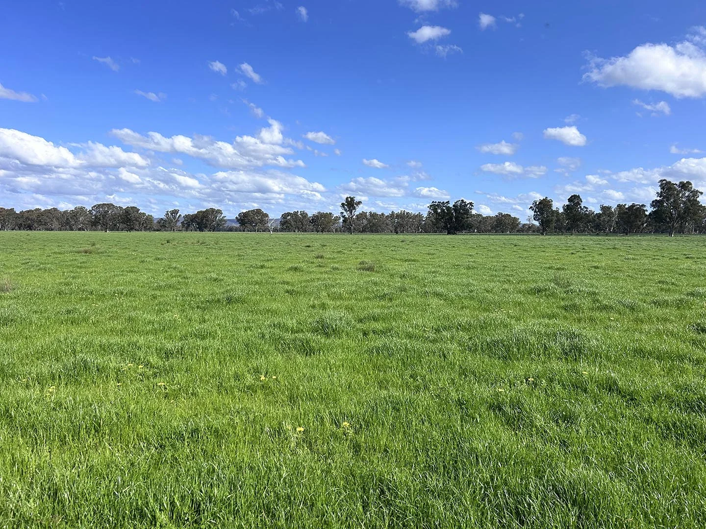 Additional image 11 of 1241 Drysdale Road, Pranjip VIC 3666