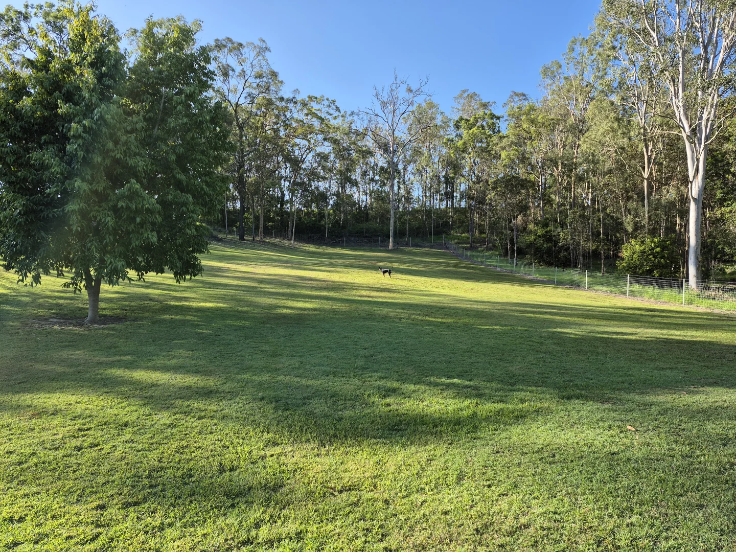 Additional image 18 of 1186 Wallaville Goondoon Road, Delan QLD 4671
