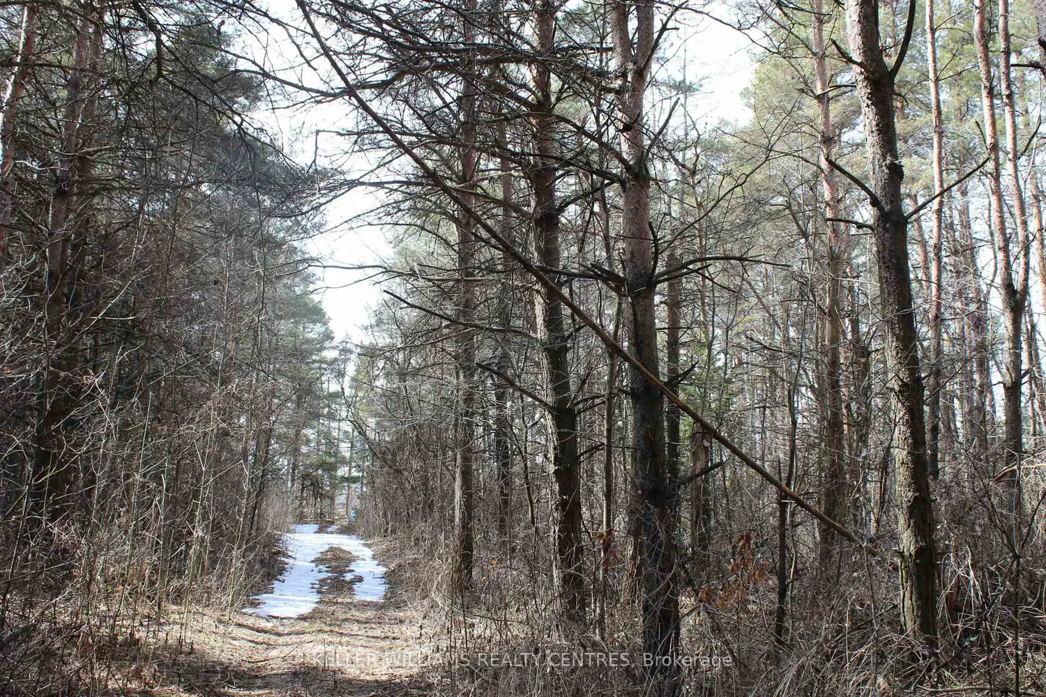 Additional image 3 of Tba Concession Rd 2