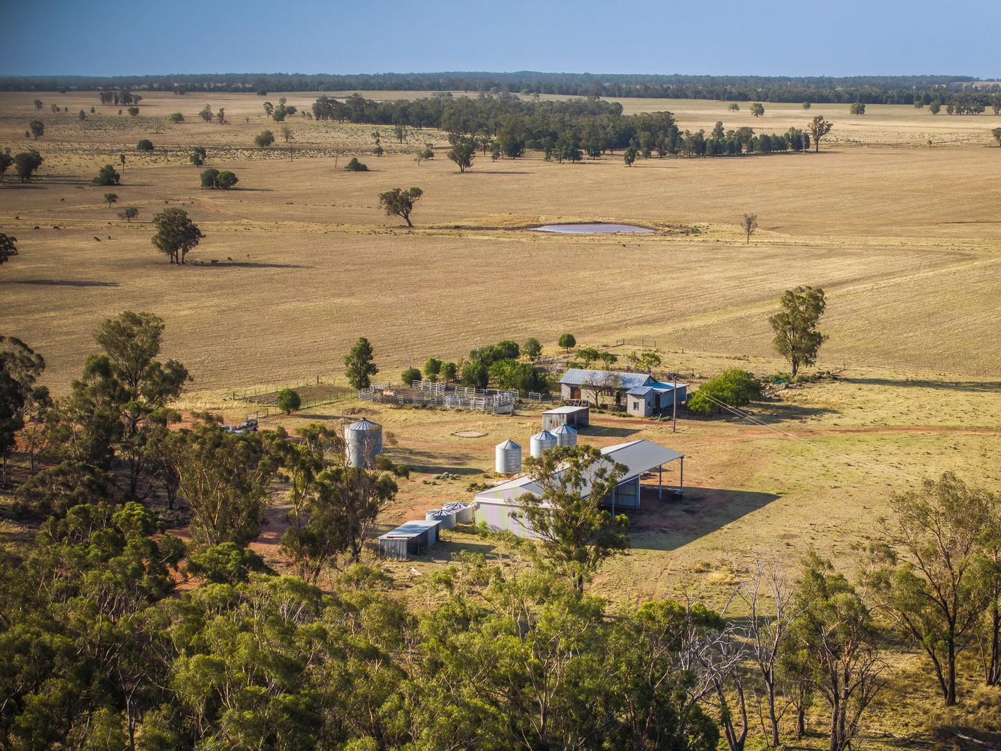 Additional image 7 of Mentone 1521 Bruie Plains Road, Trundle NSW 2875