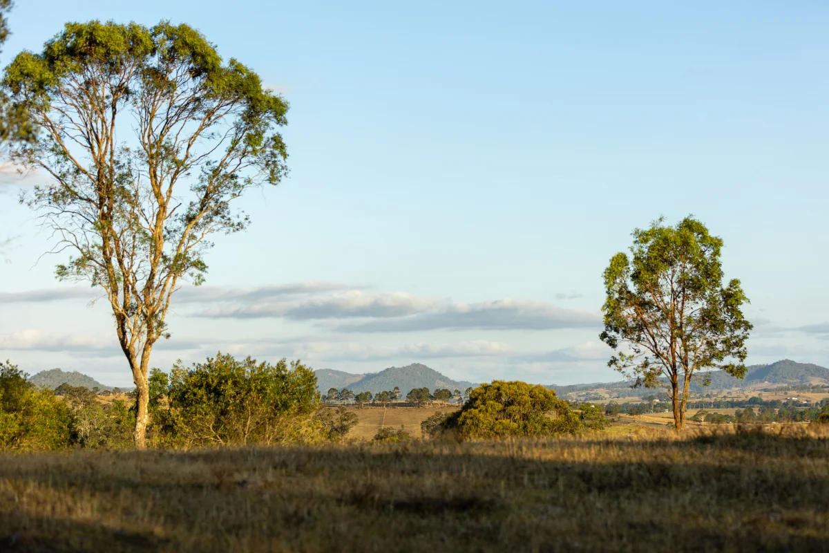 Additional image 19 of 880D Elderslie Road, Elderslie NSW 2335