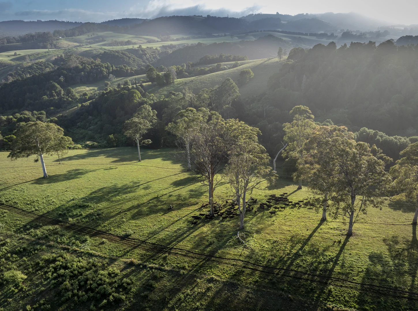 Additional image 15 of 294 Coramba Road, Dorrigo NSW 2453