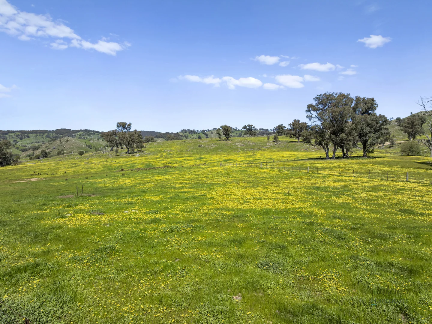 Additional image 6 of 109 Gall Lane, Balmattum VIC 3666