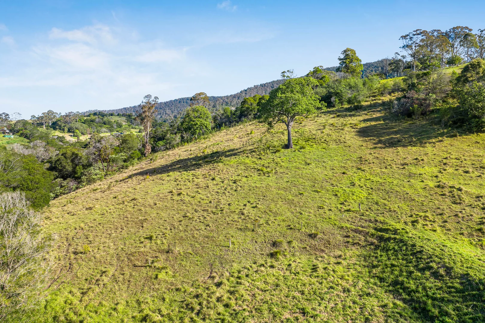Additional image 9 of 121 Punkalla Tilba Road, Central Tilba NSW 2546