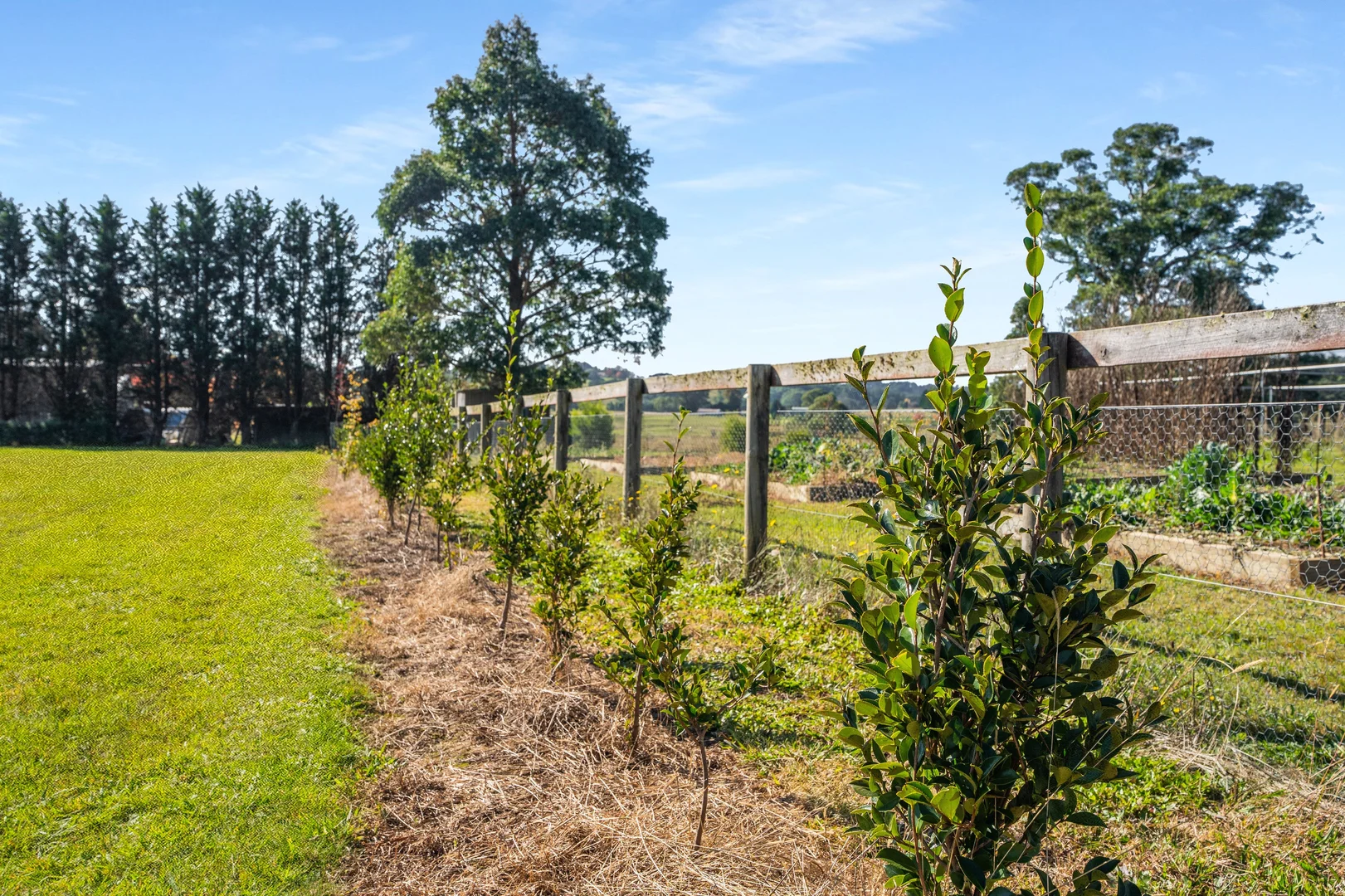 Additional image 6 of 70 Greasons Road, Bundanoon NSW 2578