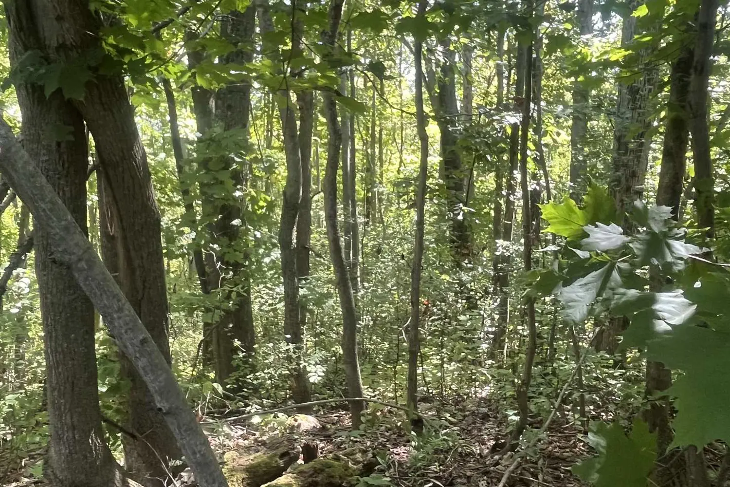 Additional image 18 of 15598 County Road 2 Road