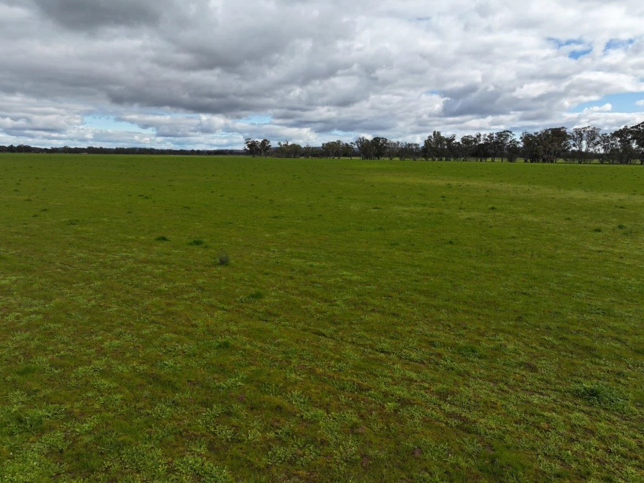 Additional image 8 of - Kurting Kingower Road, Kurting VIC 3517