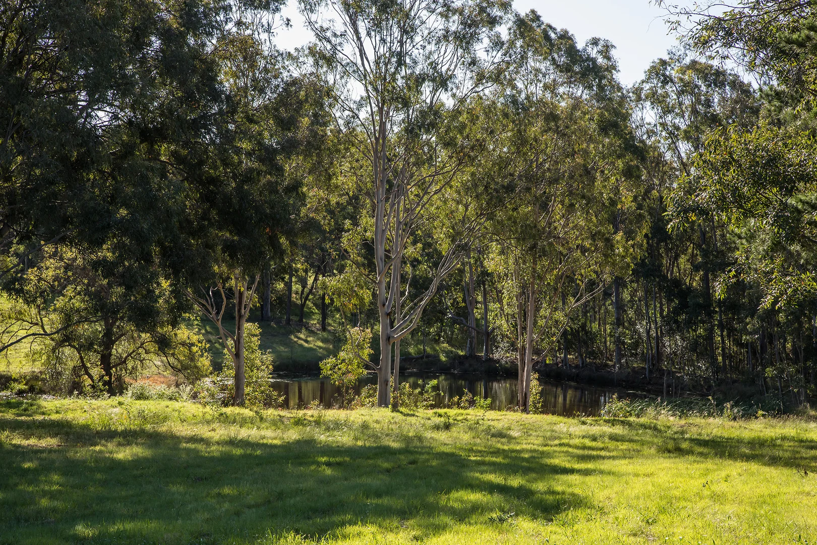 Additional image 33 of 450 Menangle Road, Menangle NSW 2568