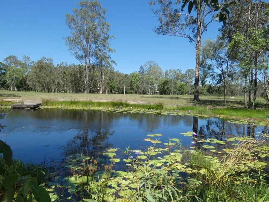 Additional image 27 of 158 Taunton Road, Euleilah QLD 4674