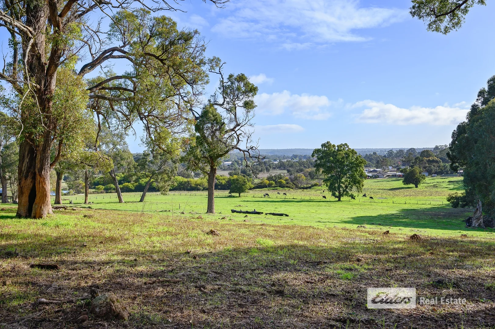 Additional image 12 of 130 | 131 Thomson Street, Donnybrook WA 6239