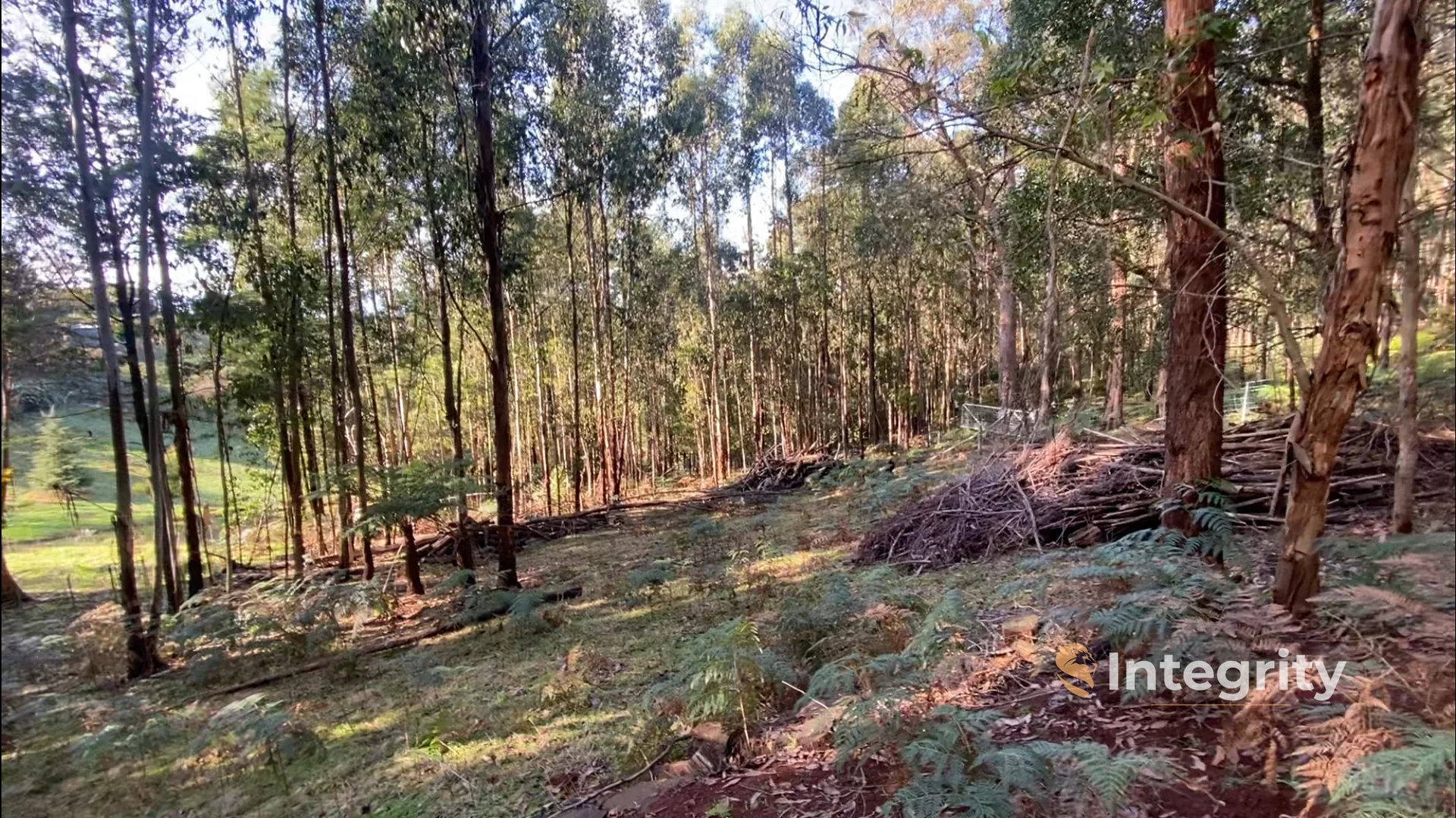 Additional image 24 of 47 Bald Spur Road, Kinglake VIC 3763