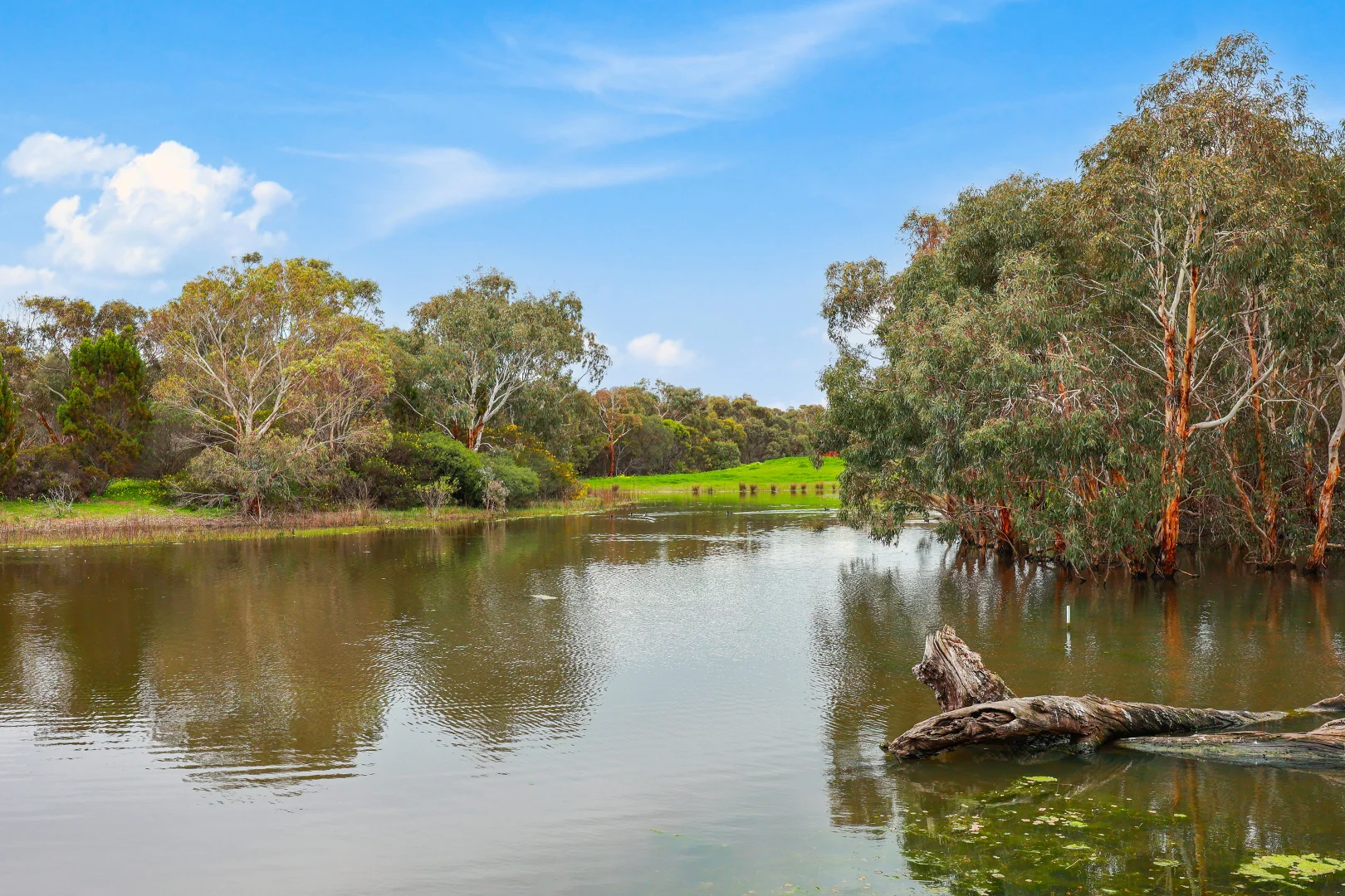 Additional image 22 of 14 Sun Orchid Drive, Chiton SA 5211