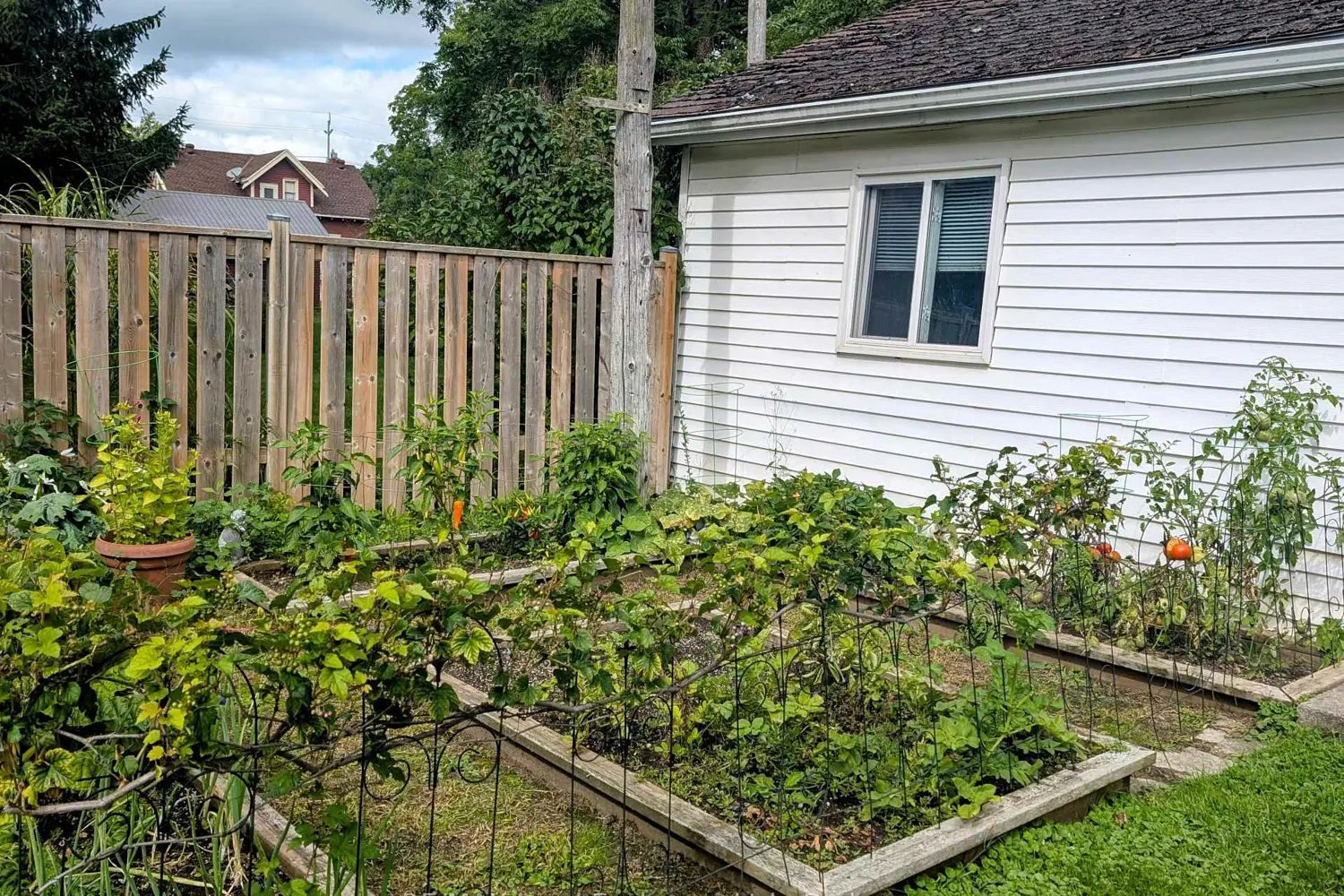 Additional image 10 of 4 Archy Street