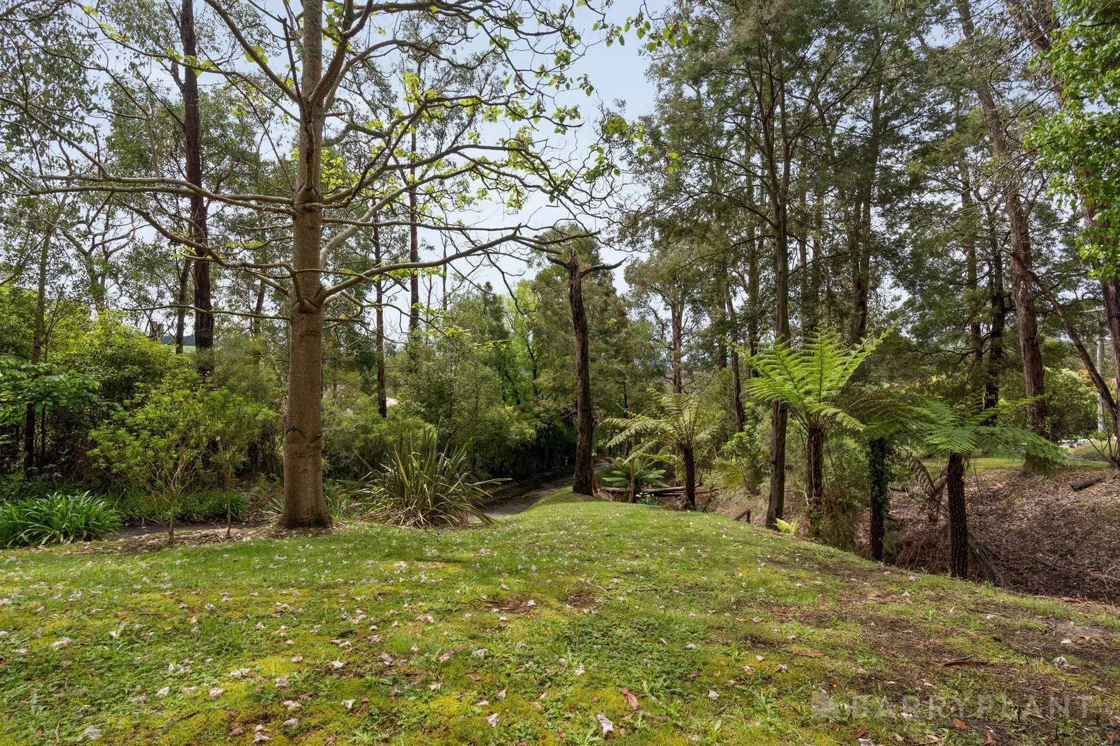 Additional image 25 of 4 Naughton Street, Cockatoo VIC 3781