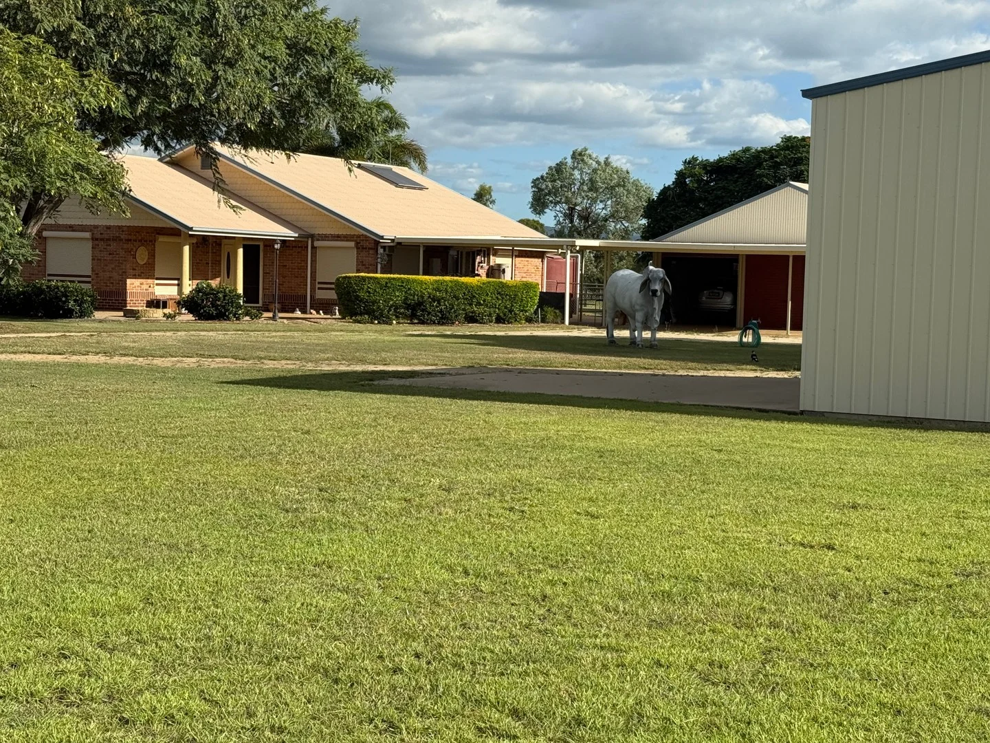 Additional image 26 of 48 Washpool Road, Gracemere QLD 4702