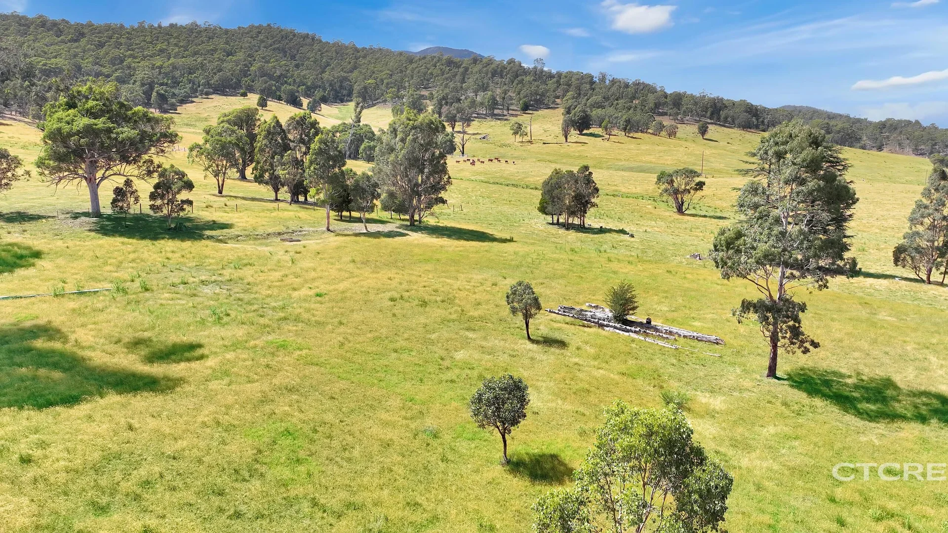 Additional image 6 of 3022 Benambra - Corryong Road, Benambra VIC 3900