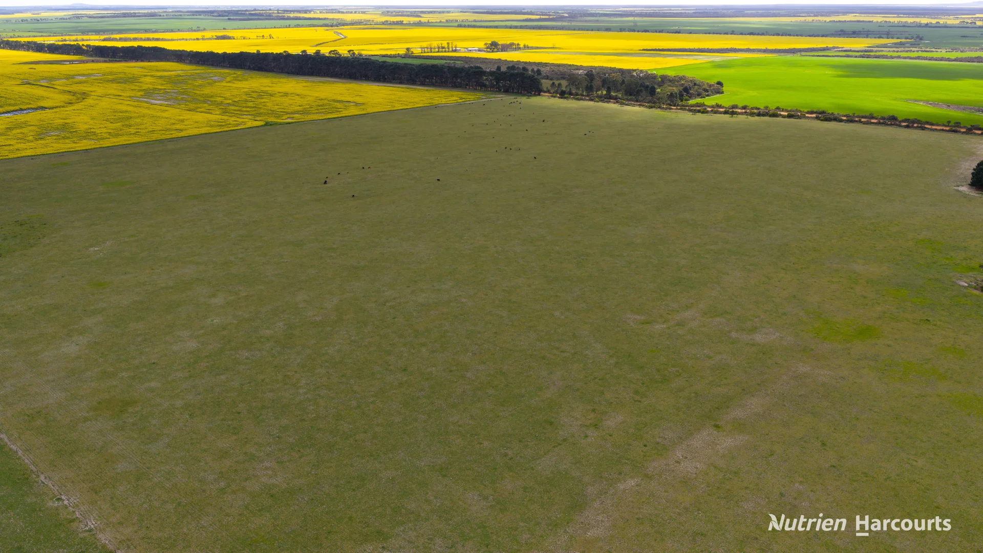 Additional image 12 of 1463 Savage Road, Neridup WA 6450