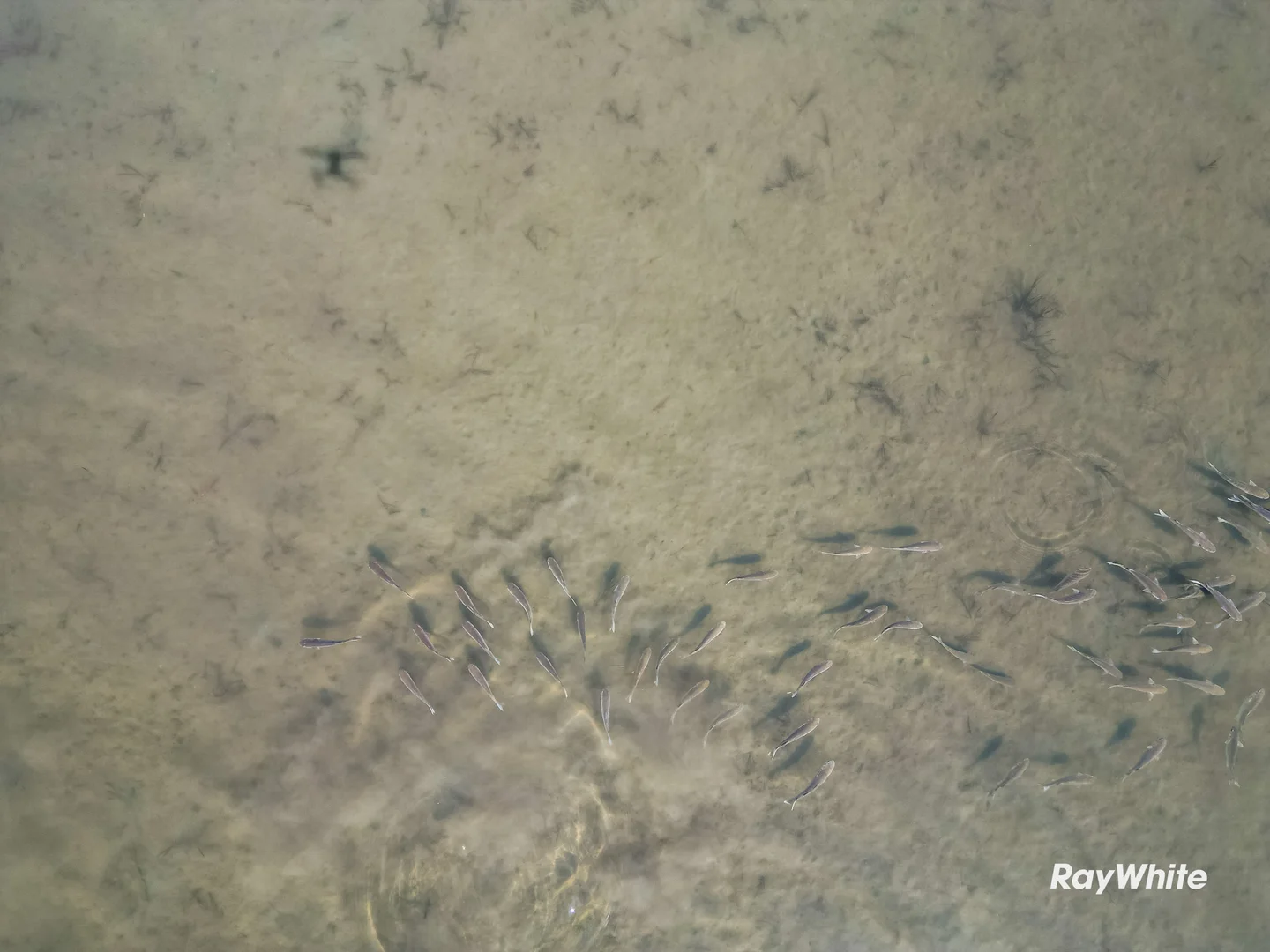 Additional image 14 of Malabar Drive, Moruya NSW 2537