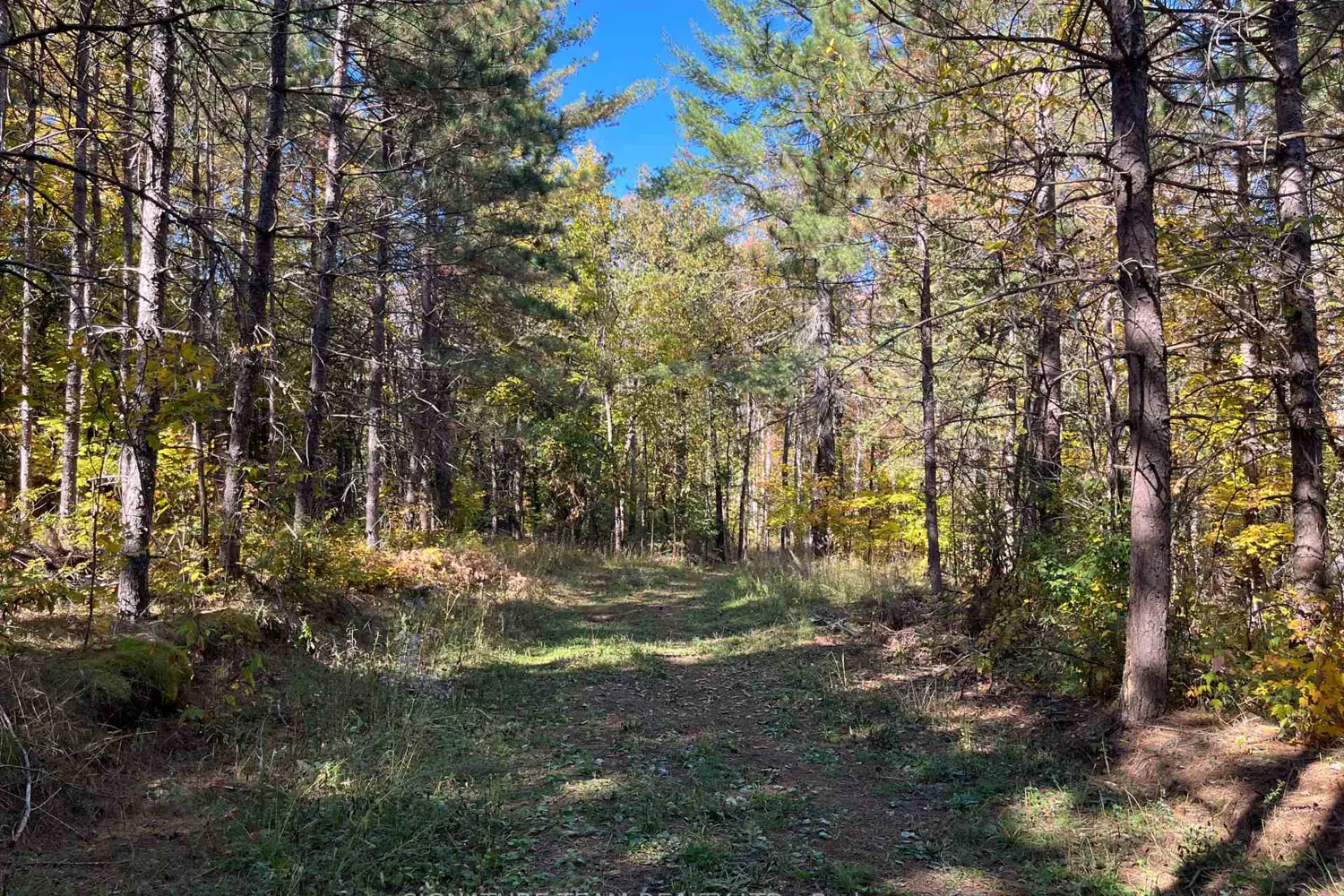 Additional image 7 of 0 Minnie Road
