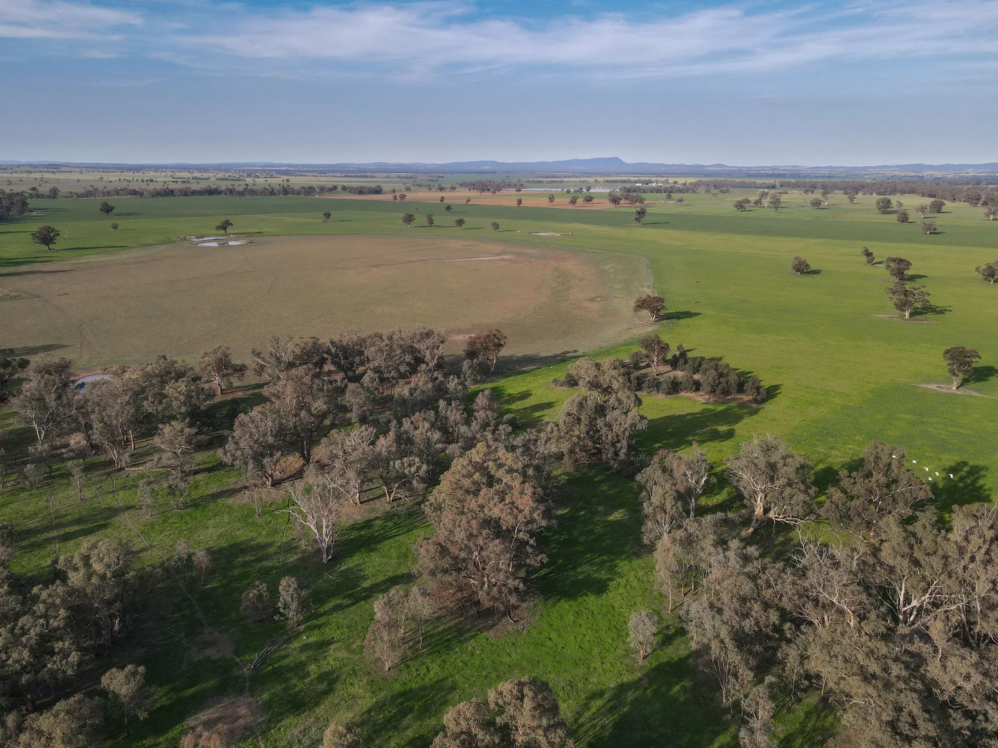 Additional image 13 of 11025 "Lima" The Escort Way, Forbes NSW 2871