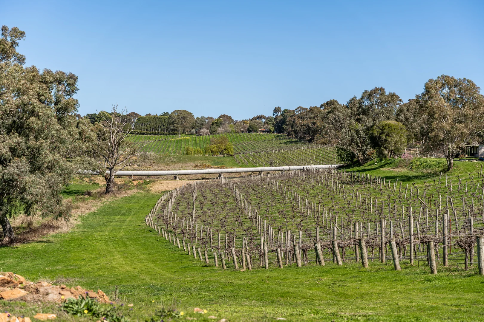 Additional image 20 of 144 Murray Road, Paracombe SA 5132