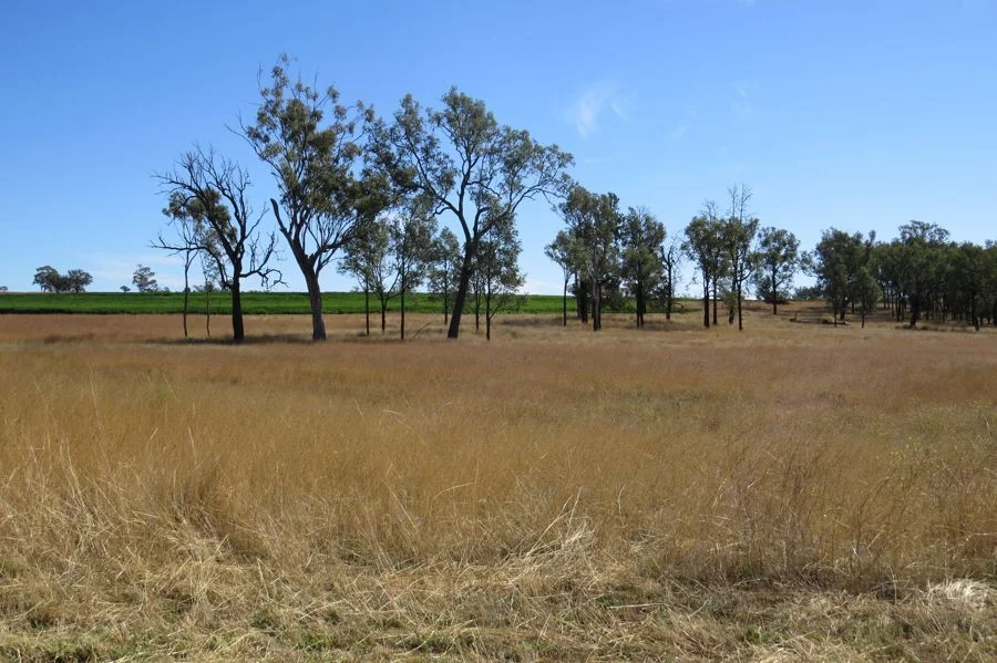 Additional image 11 of 329 Pickfords Road, Yetman NSW 2410