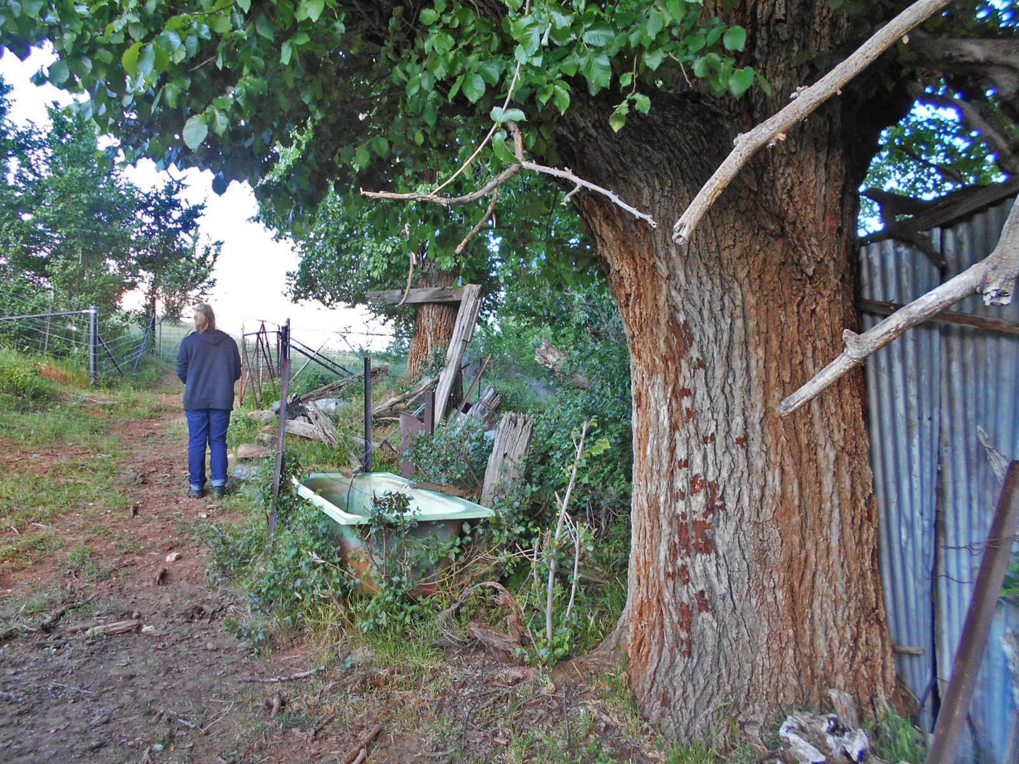 Additional image 16 of 30 Hanley & Moon Street, Gundagai NSW 2722