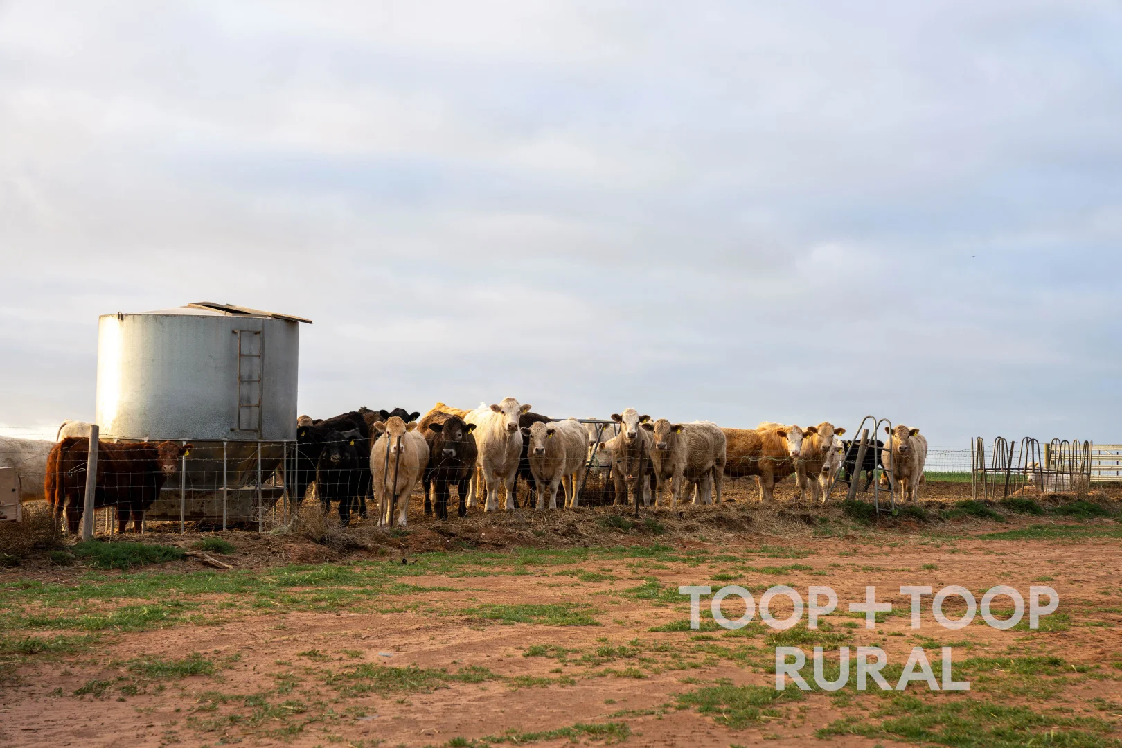 Additional image 14 of 735 Koch Road (via Loxton), Taldra SA 5311