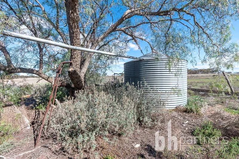 Additional image 26 of 89 Schroeder Road, Cambrai SA 5353