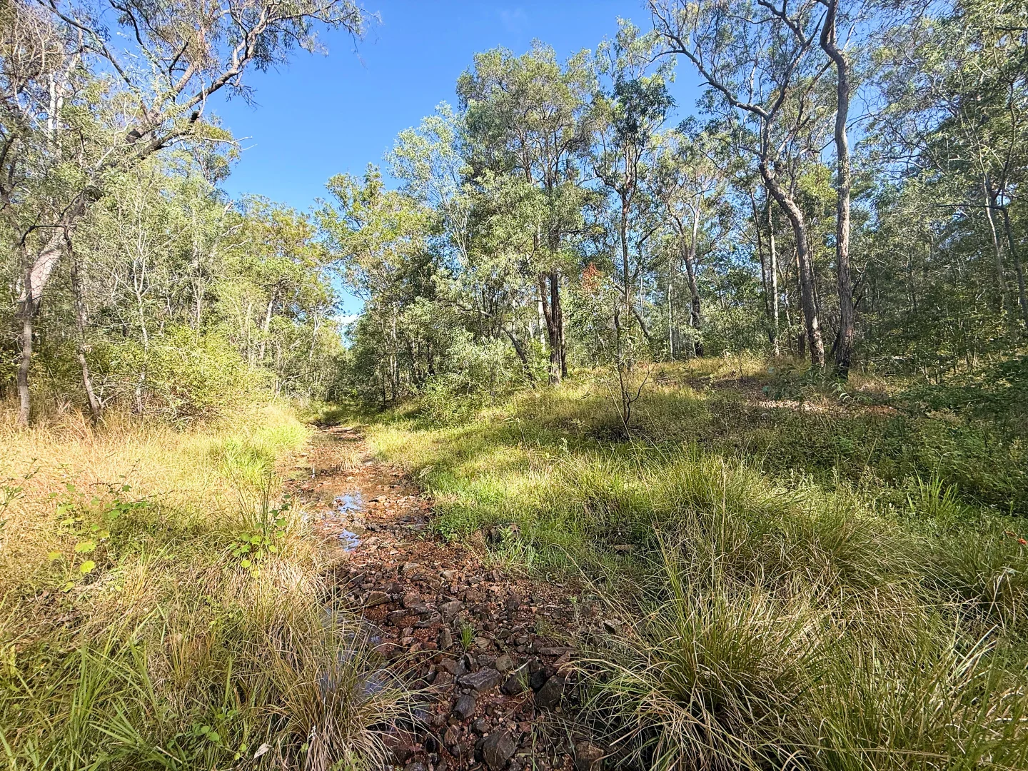 Additional image 8 of Lot 10/931 Nearum Road, Nearum QLD 4671