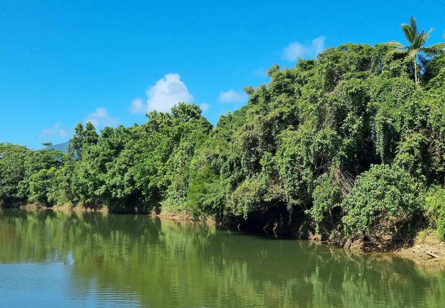 Additional image 15 of Lot 9&10 Kruckow Road, East Russell QLD 4861