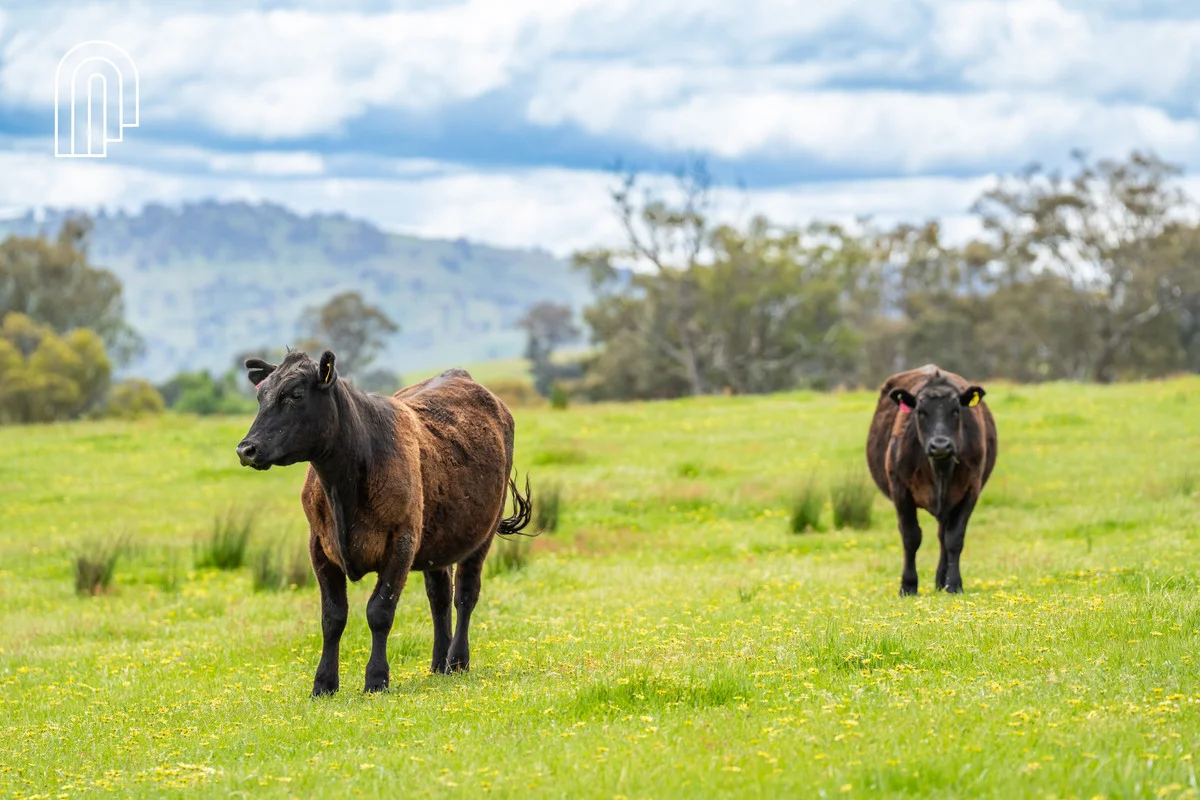 Additional image 14 of 710a Talgarno Gap Road, Talgarno VIC 3691