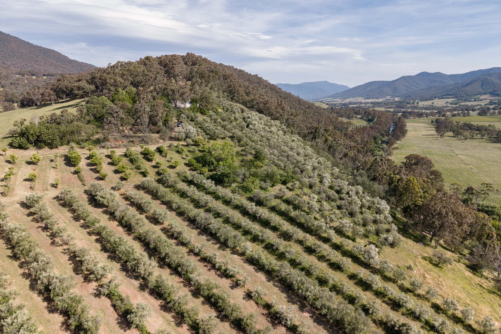 Additional image 5 of 528 Redbank Mongans Road, Mongans Bridge VIC 3691