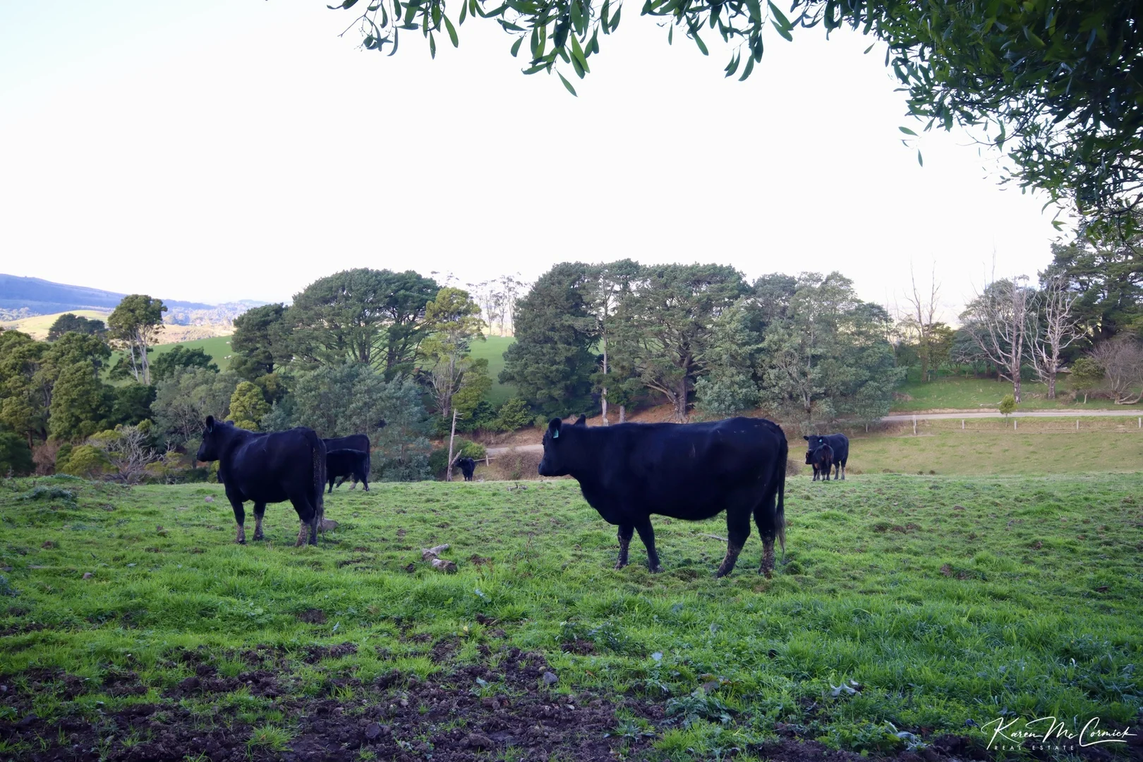 Additional image 6 of 200 Wonga Square Top Road, Wonga VIC 3960