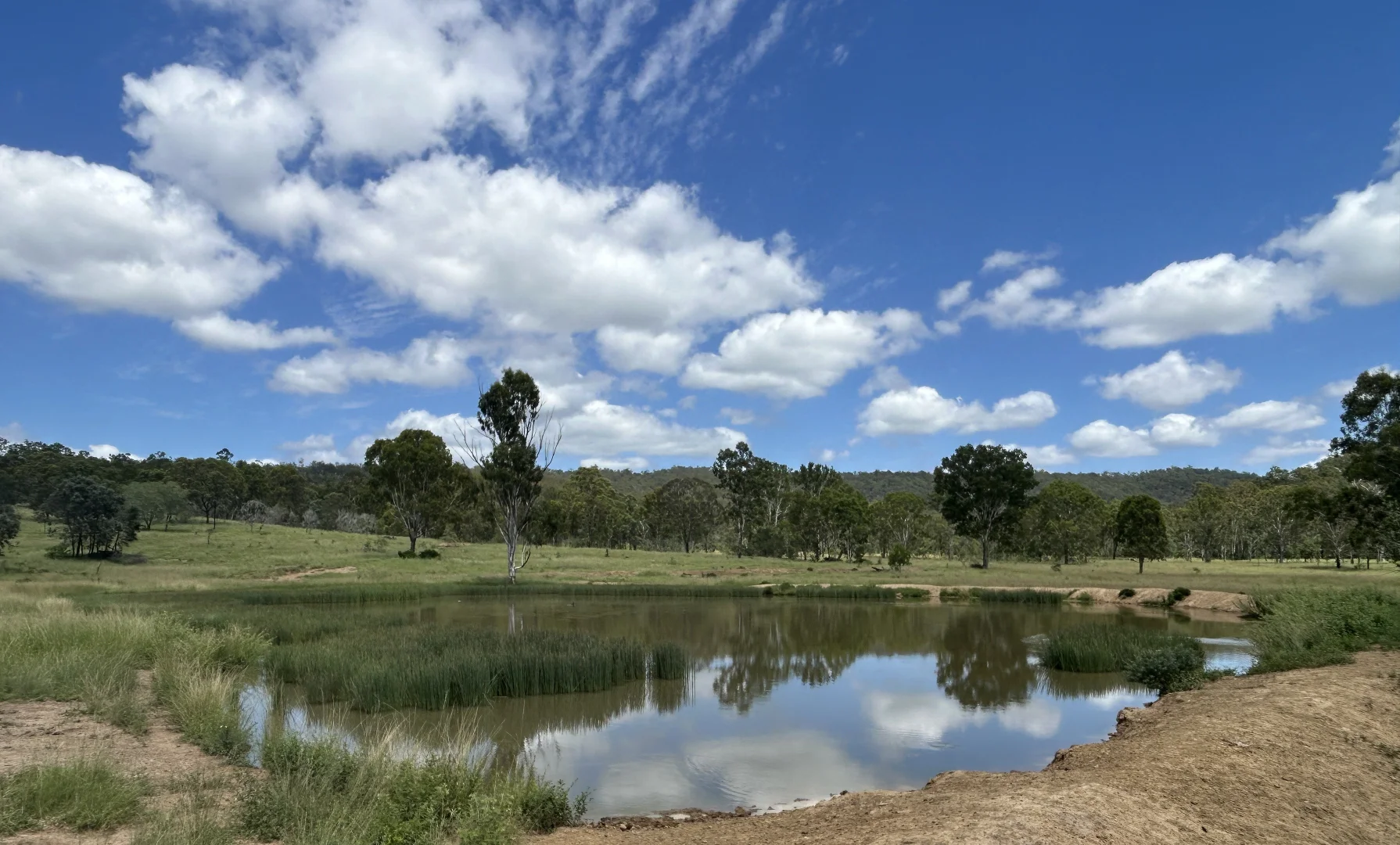 Additional image 14 of 789 Coppin Rd, Monto QLD 4630