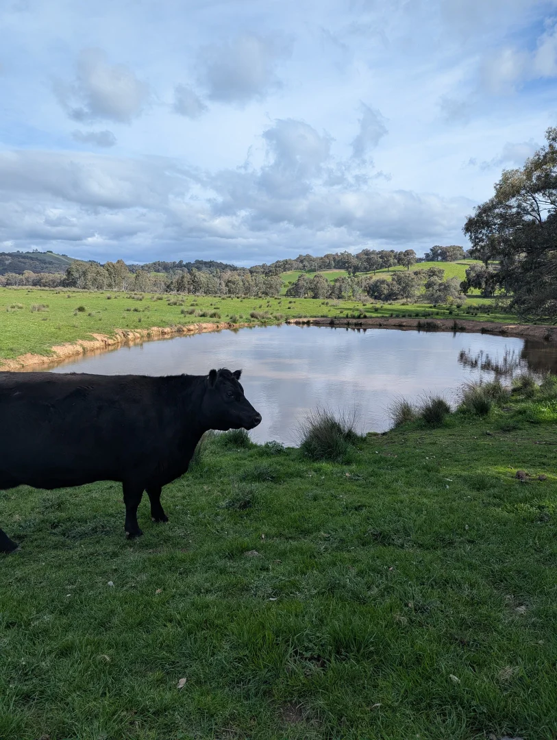 Additional image 10 of 409 McInnes Lane, Bobinawarrah VIC 3678