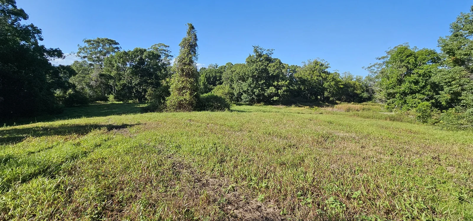 Additional image 13 of Dalwood NSW 2477