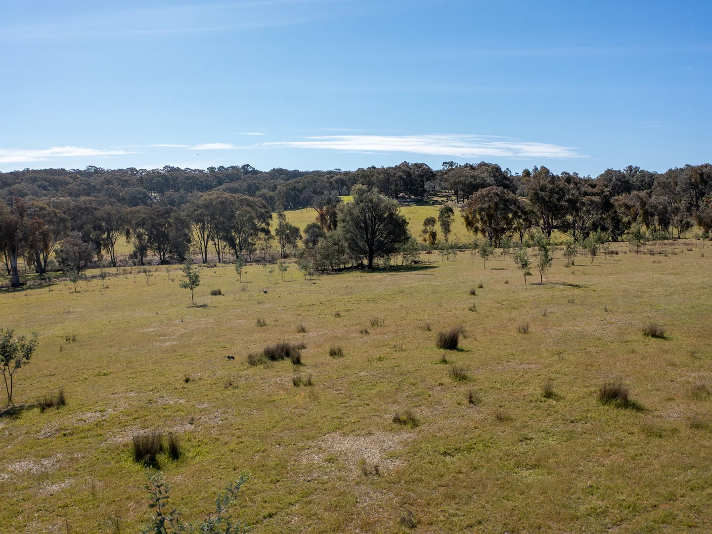 Additional image 5 of 3/7 East Triangle Road, Byawatha VIC 3678