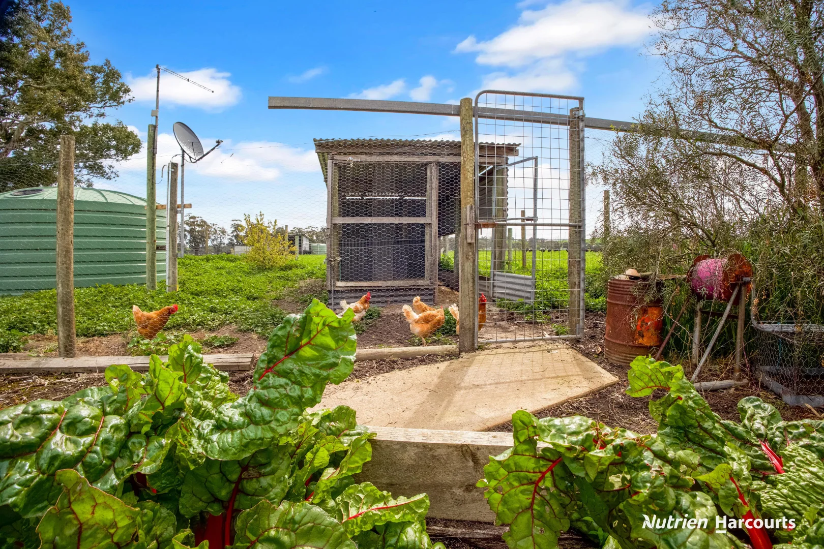 Additional image 19 of 25 Mackwood Lane, Casterton VIC 3311