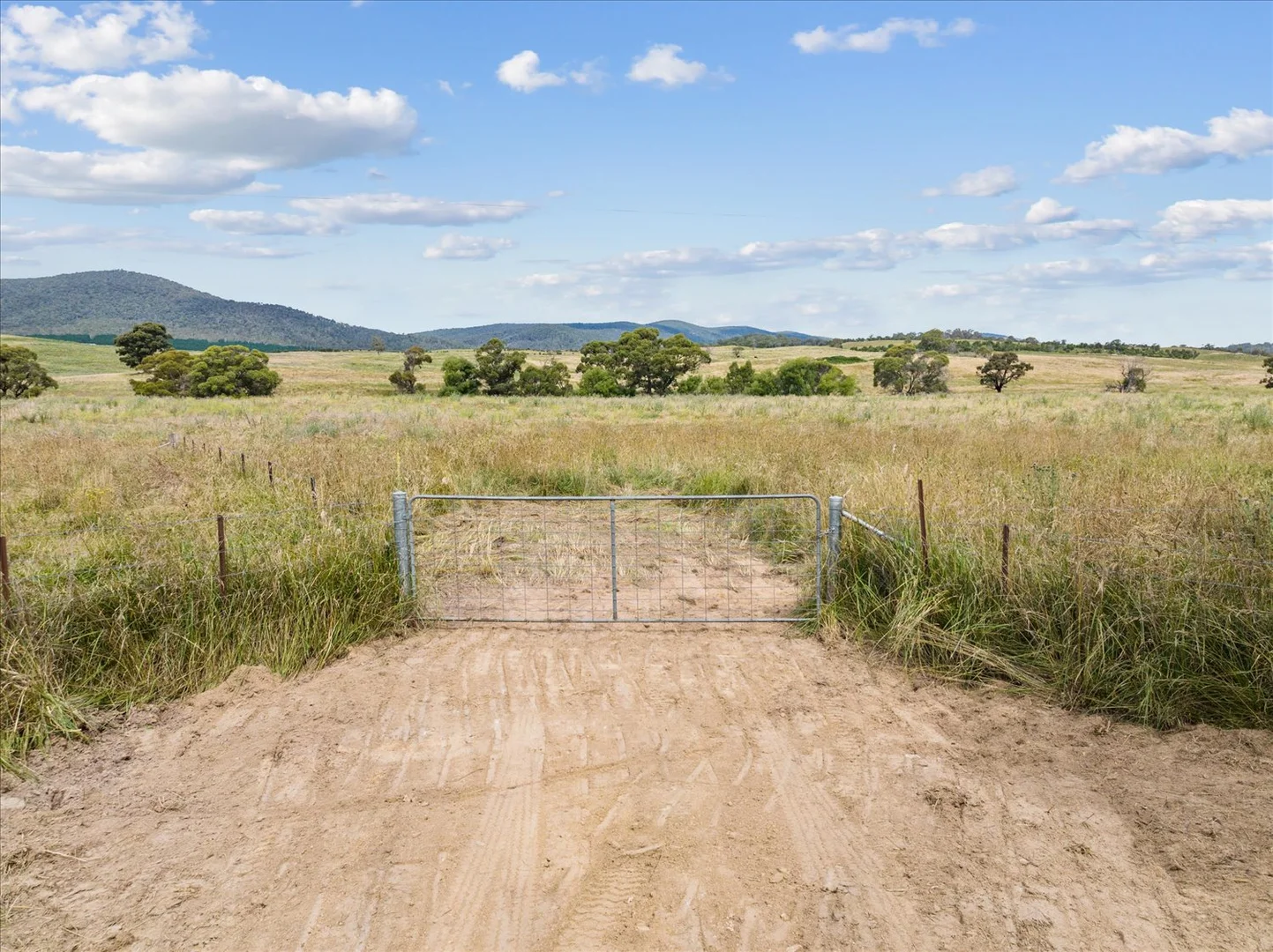 Additional image 12 of 4436 Jerangle Road, Captains Flat NSW 2623